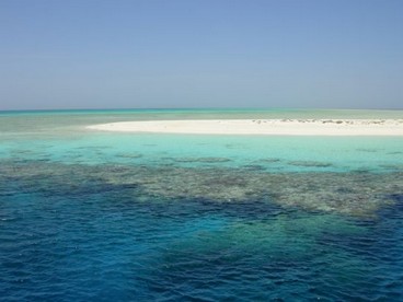 Berenice, immersioni un un mare da sogno