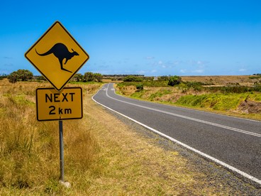 Australia, strade infinite e canguri