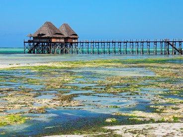 Spiaggia tropicale a Zanzibar