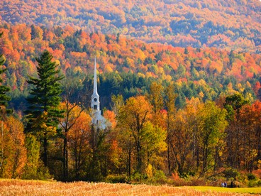 Foliage in Vermont