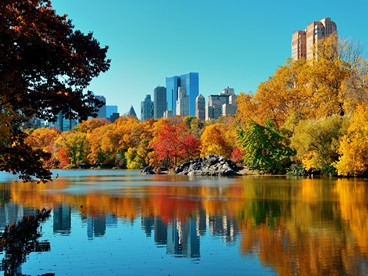 Foliage a New York: Central Park