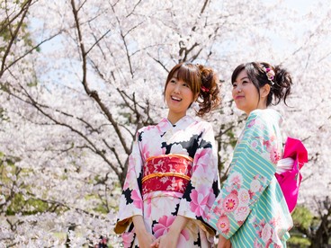 Ragazze giapponesi ammirano la fioritura dei ciliegi