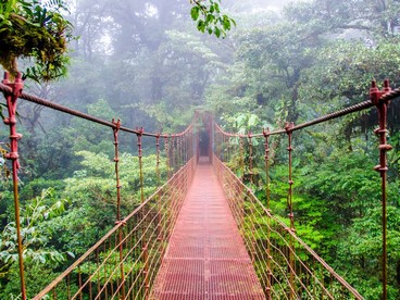 Ponte nella foresta pluviale in Costa Rica