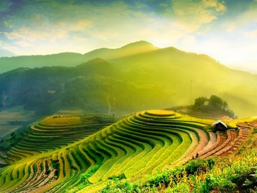 Terrazze di riso in Vietnam