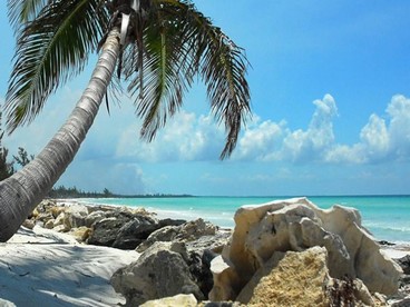 Grand Bahama, un sogno!