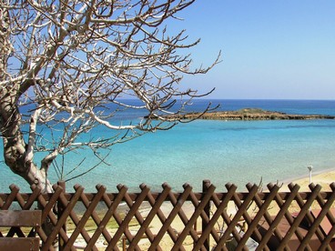Fig Tree Bay, Cipro