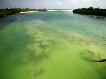 Reserva de la Biósfera Sian Ka'an - ph Tim Gage - Flickr (Creative Commons Attribution-Share Alike 2.0 Generic)