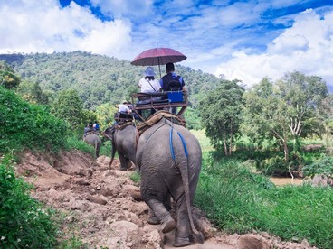 Viaggio di nozze in Thailandia: escursione nella foresta