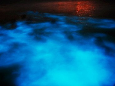 Glistenin Waters Luminous Lagoon - ph www.visitjamaica.com