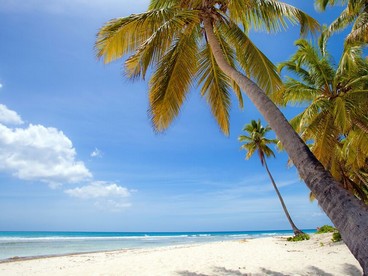 Samoa Island, Santo Domingo