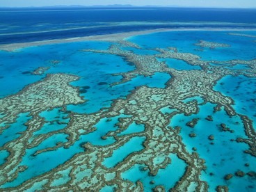 La Grande barriera corallina australiana