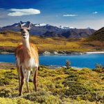 Torres del Paine National Park, Patagonia, Cile