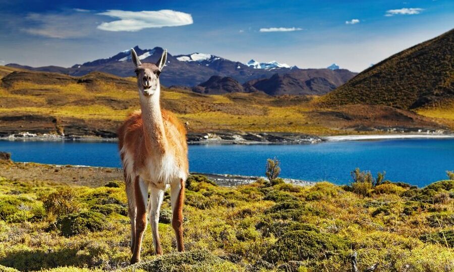 Torres del Paine National Park, Patagonia, Cile