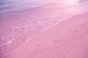 Impronte sulla sabbia rosa di Pink Sand Island