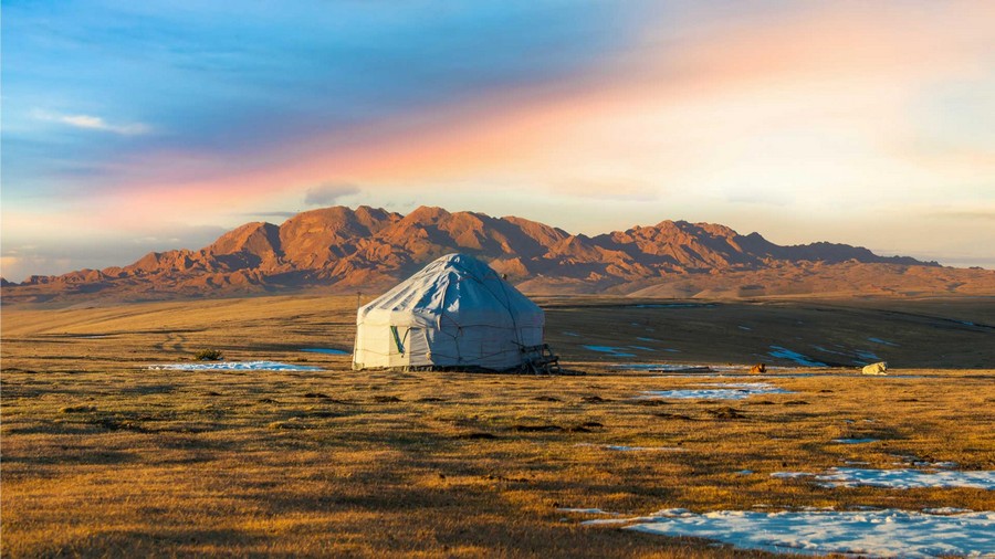 Gheir nel Deserto del Gobi, Mongolia
