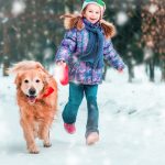 Vacanze sulla neve con il proprio cane