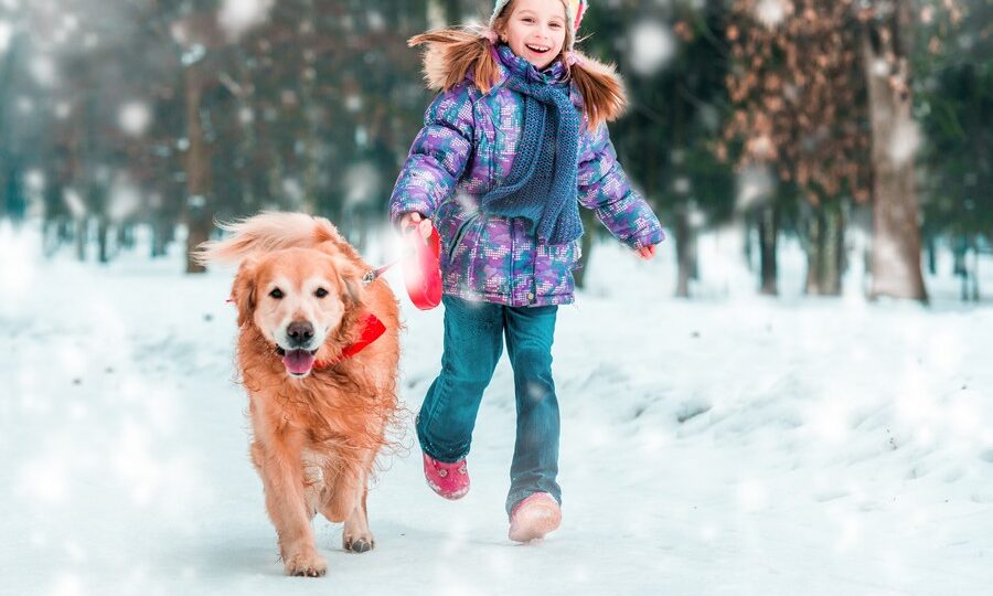 Vacanze sulla neve con il proprio cane