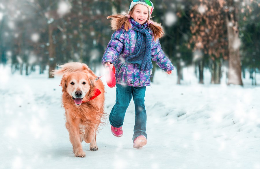 Cani in vacanza sulla neve: località e consigli di Evolution Travel