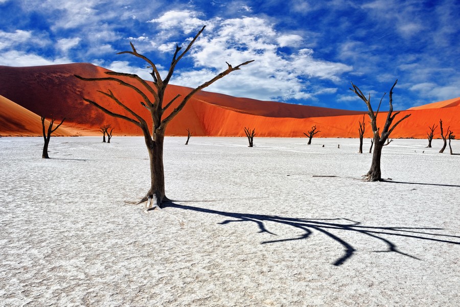 Dead Vlei, deserto del Namib