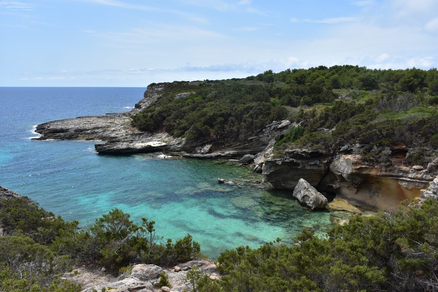 Il mare dell'isola di Pianosa