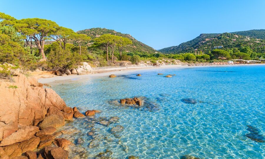 Spiaggia Palombaggia, in Corsica