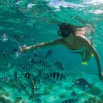 Snorkeling a Mauritius