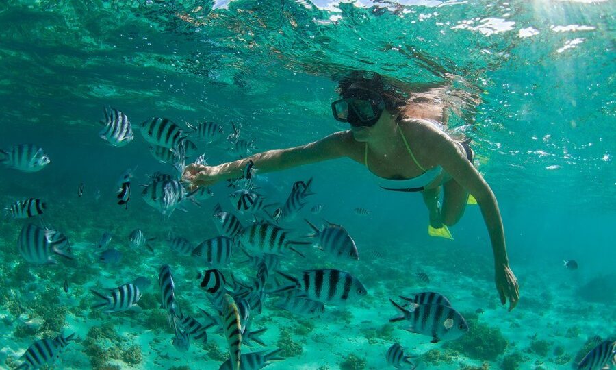 Snorkeling a Mauritius