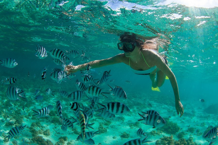 Snorkeling a Mauritius