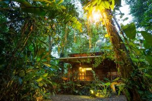 Costa-Rica, ecolodge nella foresta pluviale Puerto Viejo de Talamanca