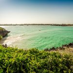 Mangrovie di Seven Islands, Watamu, Kenya