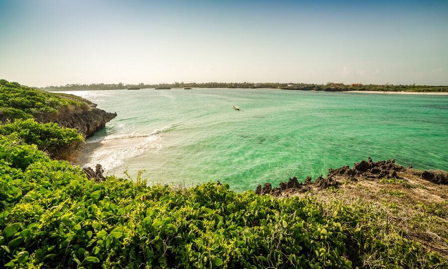 Mangrovie di Seven Islands, Watamu, Kenya