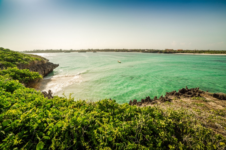 Mangrovie di Seven Islands, Watamu, Kenya