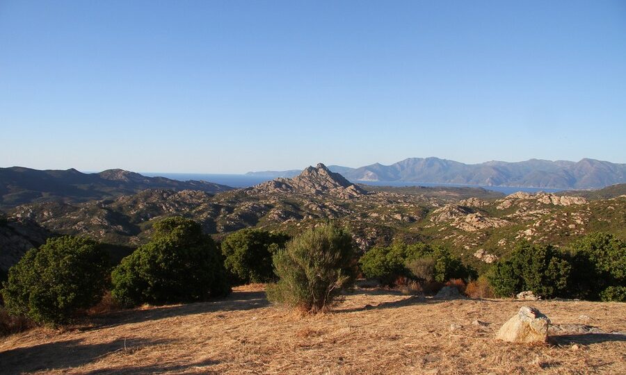 Deserto delle Agriate, Corsica