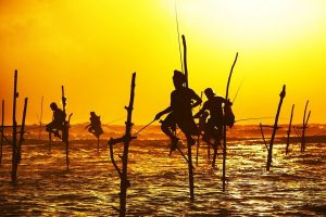 I pescatori sui trampoli in Sri Lanka