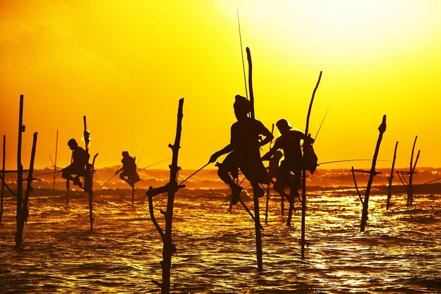 I pescatori sui trampoli in Sri Lanka