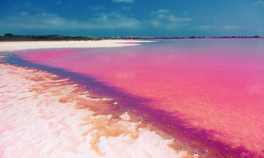 Laguna rosa di Torrevieja