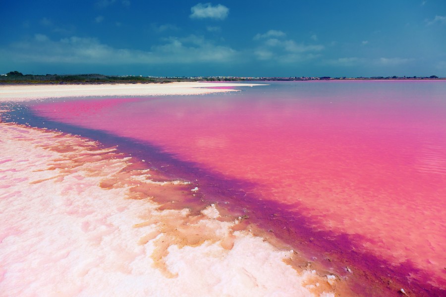 Laguna rosa di Torrevieja