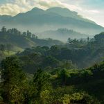 Guatemala: alba sulla jungla
