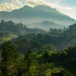 Guatemala: alba sulla jungla