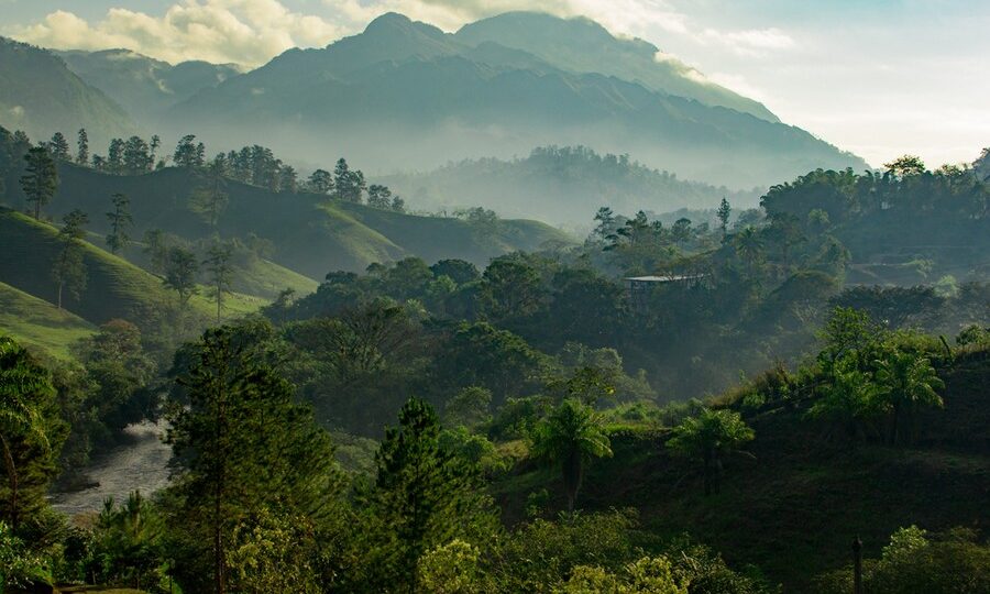 Guatemala: alba sulla jungla