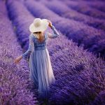 Passeggiare in un campo di lavanda in Provenza