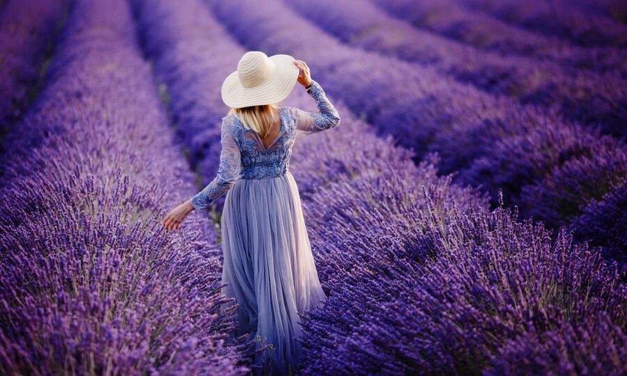 Passeggiare in un campo di lavanda in Provenza