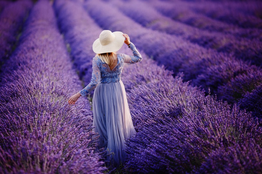 Passeggiare in un campo di lavanda in Provenza