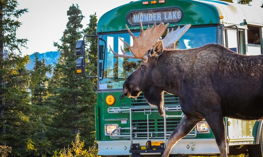 Denali National Park, Alaska