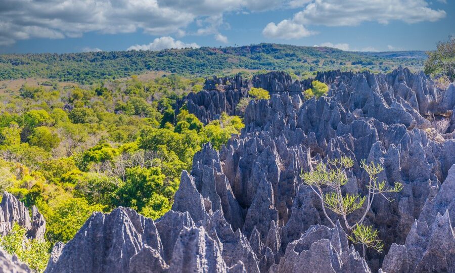 Parco Tsingy di Bemaraha