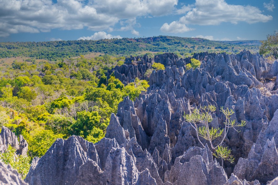 Parco Tsingy di Bemaraha