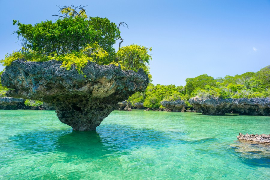 Gli alberi sulle rocce della Laguna Blu di Zanzibar