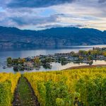 Vigneto sul lago Okanagan - British Columbia, Canada