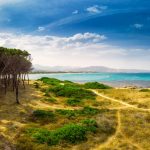 Budoni, Sardegna: tratto di spiaggia nei pressi della pineta