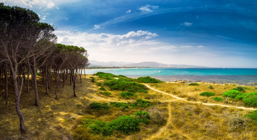 Budoni, Sardegna: tratto di spiaggia nei pressi della pineta